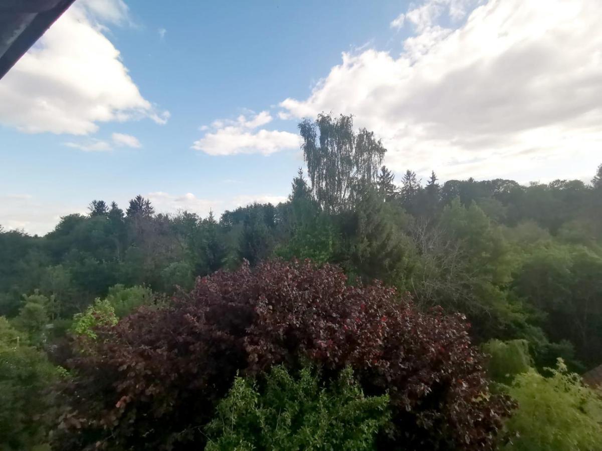 פרוידנשטאדט Ferienwohnung Im Manbach מראה חיצוני תמונה